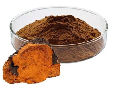 Ground chaga birch powder or sublimated extract?